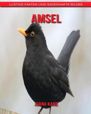 Book cover for Amsel