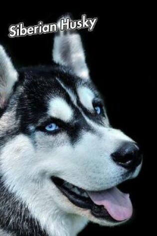 Cover of Siberian Husky