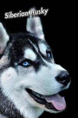 Book cover for Siberian Husky