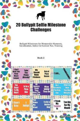 Book cover for 20 Bullypit Selfie Milestone Challenges