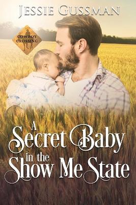 Book cover for A Secret Baby in the Show Me State