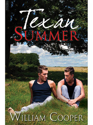 Book cover for Texan Summer