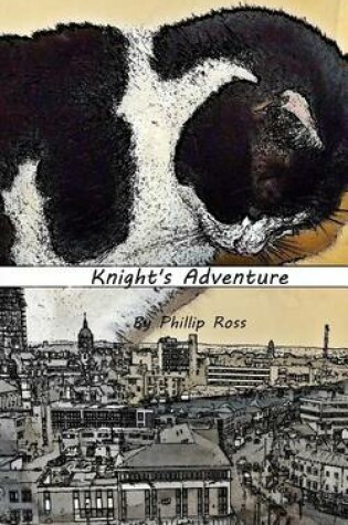 Cover of Knight's Adventure