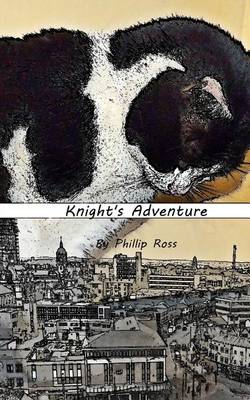 Book cover for Knight's Adventure