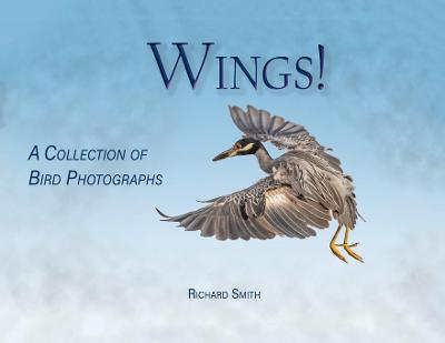 Book cover for Wings!