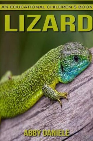 Cover of Lizard! An Educational Children's Book about Lizard with Fun Facts & Photos