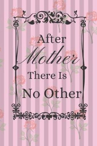 Cover of After Mother There Is No Other