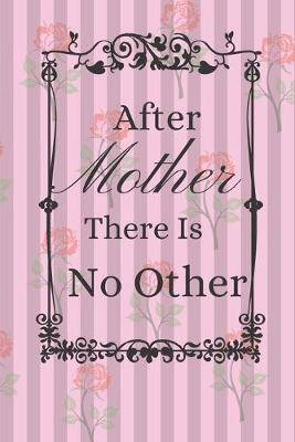 Book cover for After Mother There Is No Other