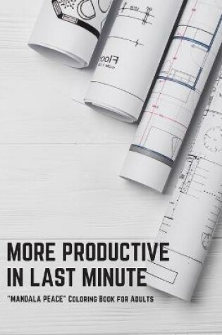 Cover of More Productive in Last Minute