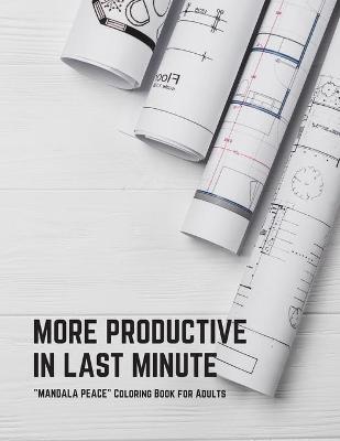 Book cover for More Productive in Last Minute