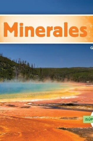 Cover of Minerales (Minerals)