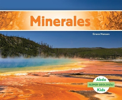 Book cover for Minerales (Minerals)