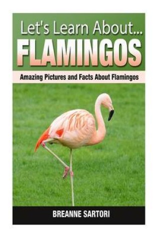 Cover of Flamingos