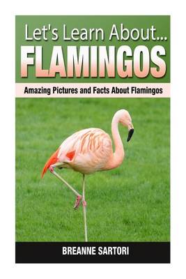 Book cover for Flamingos
