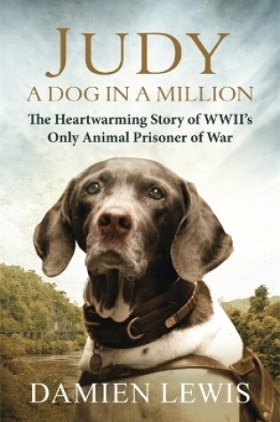 Cover of Judy: A Dog in a Million