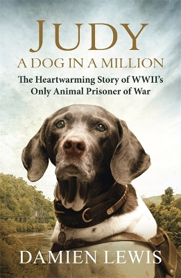 Book cover for Judy: A Dog in a Million