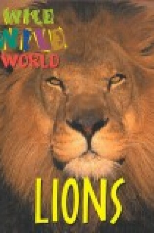 Cover of Lions