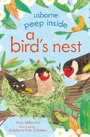 Cover of Peep Inside a Bird's Nest
