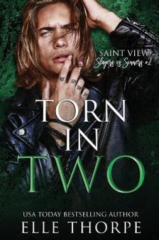 Cover of Torn In Two