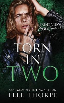 Book cover for Torn In Two