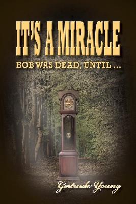 Book cover for It's a Miracle