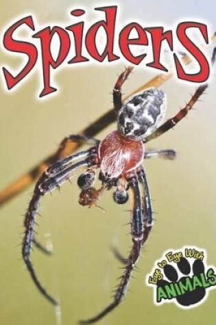 Cover of Spiders