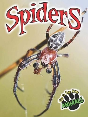 Cover of Spiders