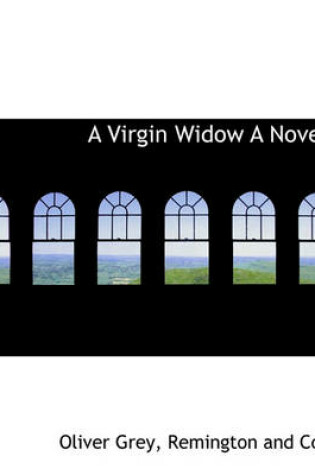 Cover of A Virgin Widow a Novel