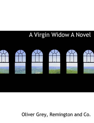 Book cover for A Virgin Widow a Novel