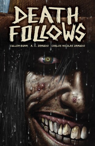 Book cover for Death Follows