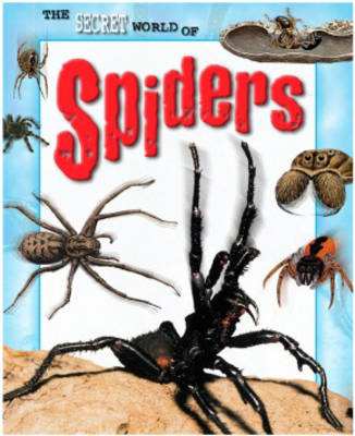 Book cover for The Secret World of: Spiders