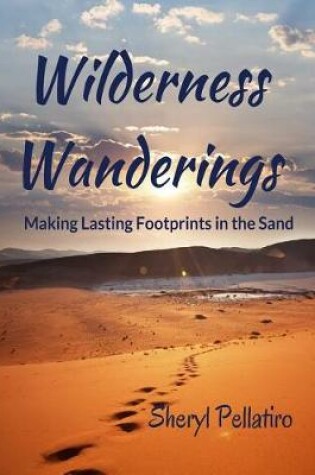 Cover of Wilderness Wanderings