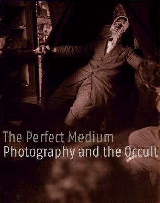 Book cover for The Perfect Medium