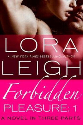 Cover of Forbidden Pleasure: Part 1
