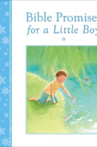 Cover of Bible Promises for a Little Boy