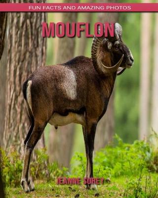 Book cover for Mouflon