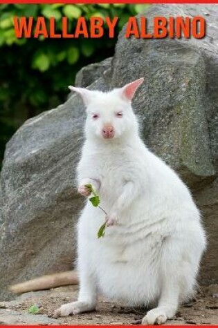 Cover of Wallaby Albino