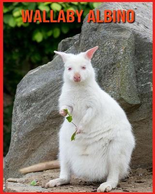 Book cover for Wallaby Albino