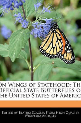 Cover of On Wings of Statehood