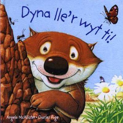 Book cover for Dyna Lle'r Wyt Ti