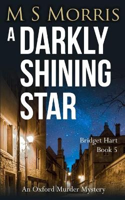 Book cover for A Darkly Shining Star