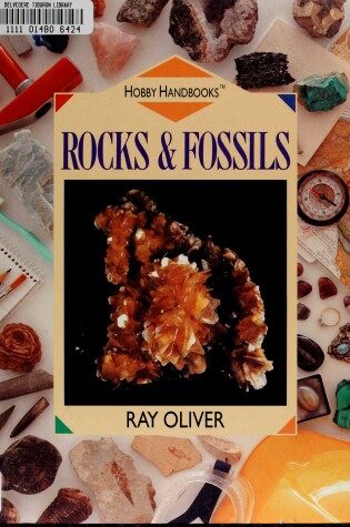Cover of Rocks & Fossils