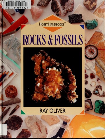 Cover of Rocks & Fossils