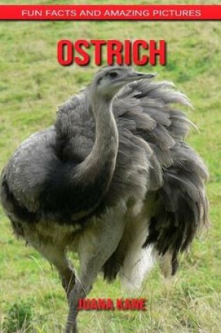 Cover of Ostrich