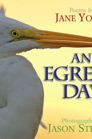 Cover of An Egret's Day