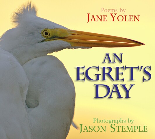 Book cover for An Egret's Day