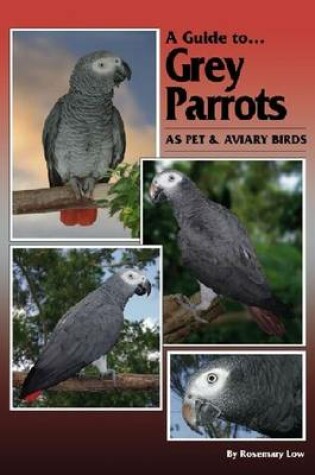 Cover of Guide to Grey Parrots as Pets and Aviary Birds