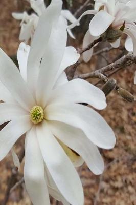 Cover of Journal Beautiful White Flower