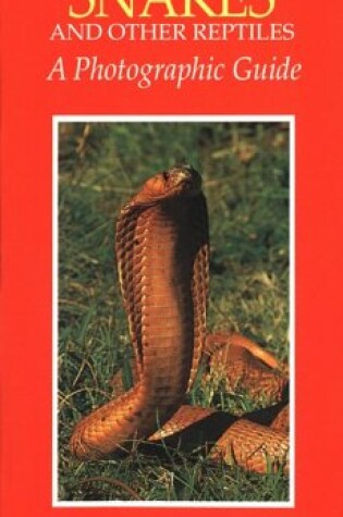 Cover of Southern African Snakes and Other Reptiles