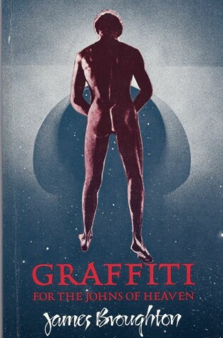 Book cover for Graffiti for the Johns of Heaven